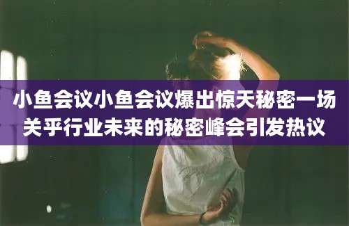小鱼会议小鱼会议爆出惊天秘密一场关乎行业未来的秘密峰会引发热议