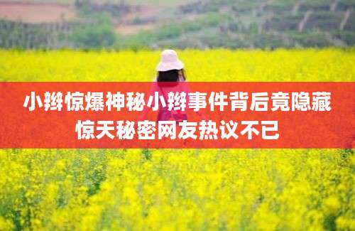小辫惊爆神秘小辫事件背后竟隐藏惊天秘密网友热议不已