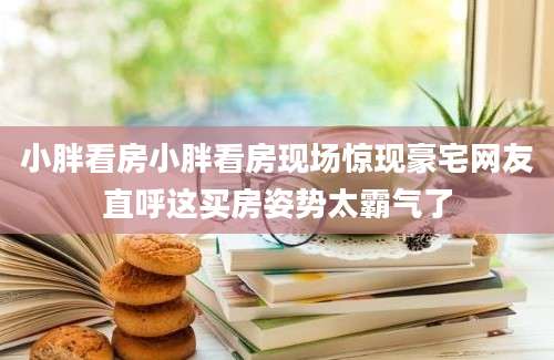 小胖看房小胖看房现场惊现豪宅网友直呼这买房姿势太霸气了