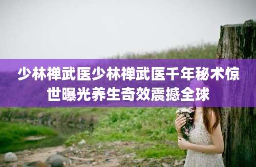 少林禅武医少林禅武医千年秘术惊世曝光养生奇效震撼全球