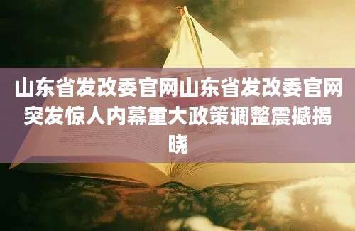 山东省发改委官网山东省发改委官网突发惊人内幕重大政策调整震撼揭晓