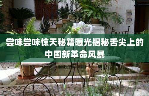 尝味尝味惊天秘籍曝光揭秘舌尖上的中国新革命风暴