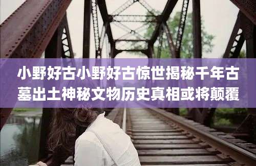 小野好古小野好古惊世揭秘千年古墓出土神秘文物历史真相或将颠覆