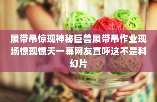 履带吊惊现神秘巨兽履带吊作业现场惊现惊天一幕网友直呼这不是科幻片