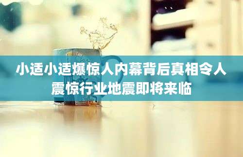 小适小适爆惊人内幕背后真相令人震惊行业地震即将来临