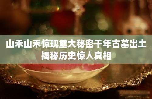 山禾山禾惊现重大秘密千年古墓出土揭秘历史惊人真相