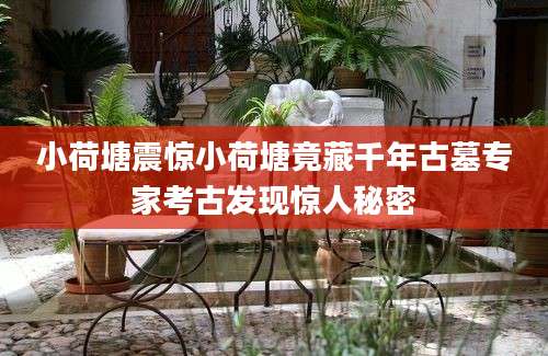 小荷塘震惊小荷塘竟藏千年古墓专家考古发现惊人秘密