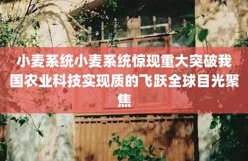 小麦系统小麦系统惊现重大突破我国农业科技实现质的飞跃全球目光聚焦