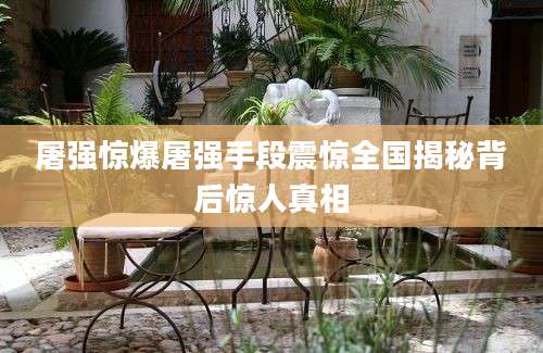 屠强惊爆屠强手段震惊全国揭秘背后惊人真相
