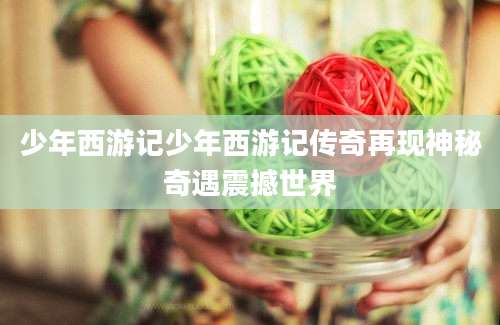 少年西游记少年西游记传奇再现神秘奇遇震撼世界