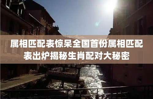 属相匹配表惊呆全国首份属相匹配表出炉揭秘生肖配对大秘密