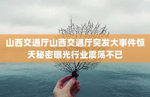 山西交通厅山西交通厅突发大事件惊天秘密曝光行业震荡不已