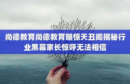 尚德教育尚德教育曝惊天丑闻揭秘行业黑幕家长惊呼无法相信