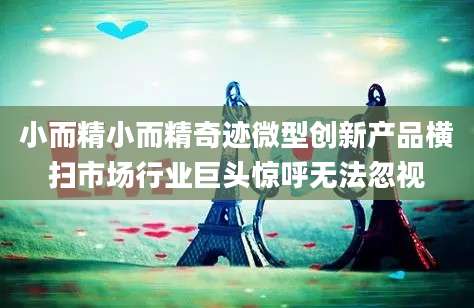 小而精小而精奇迹微型创新产品横扫市场行业巨头惊呼无法忽视