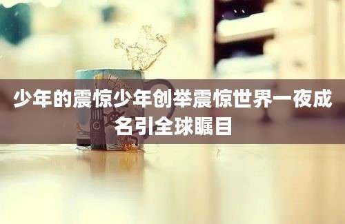 少年的震惊少年创举震惊世界一夜成名引全球瞩目