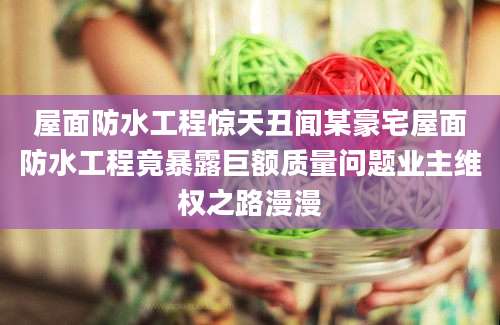 屋面防水工程惊天丑闻某豪宅屋面防水工程竟暴露巨额质量问题业主维权之路漫漫