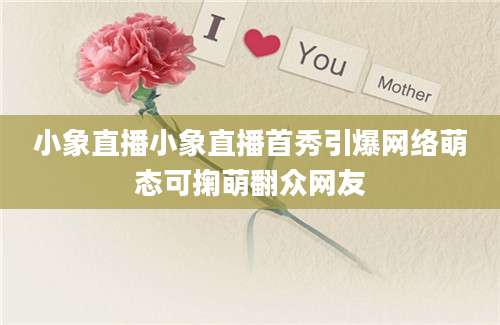 小象直播小象直播首秀引爆网络萌态可掬萌翻众网友