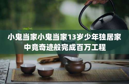 小鬼当家小鬼当家13岁少年独居家中竟奇迹般完成百万工程