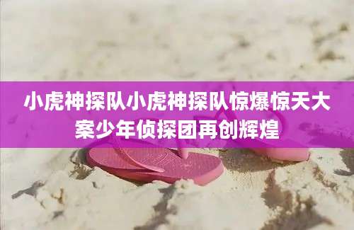小虎神探队小虎神探队惊爆惊天大案少年侦探团再创辉煌