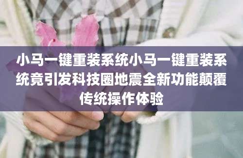 小马一键重装系统小马一键重装系统竟引发科技圈地震全新功能颠覆传统操作体验