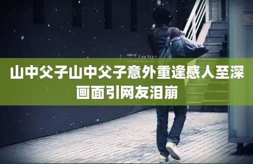 山中父子山中父子意外重逢感人至深画面引网友泪崩