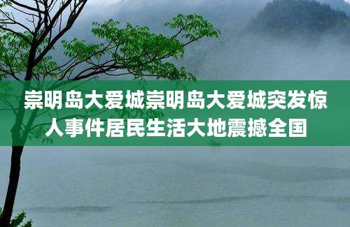 崇明岛大爱城崇明岛大爱城突发惊人事件居民生活大地震撼全国