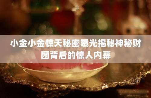 小金小金惊天秘密曝光揭秘神秘财团背后的惊人内幕
