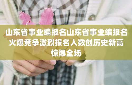 山东省事业编报名山东省事业编报名火爆竞争激烈报名人数创历史新高惊爆全场