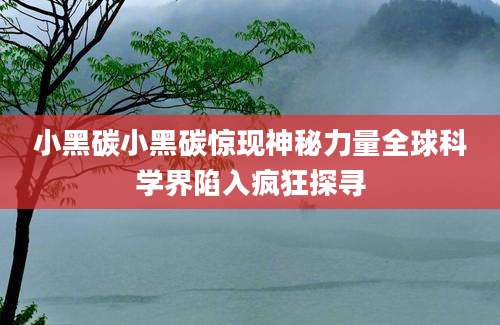 小黑碳小黑碳惊现神秘力量全球科学界陷入疯狂探寻