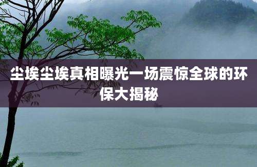 尘埃尘埃真相曝光一场震惊全球的环保大揭秘