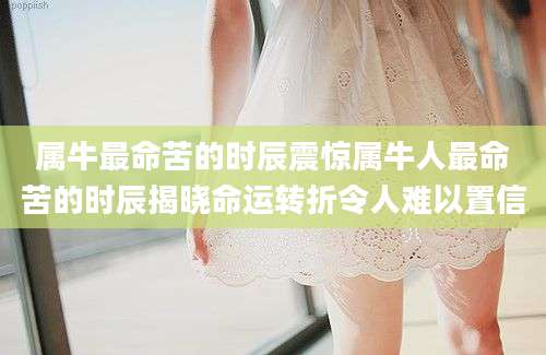 属牛最命苦的时辰震惊属牛人最命苦的时辰揭晓命运转折令人难以置信