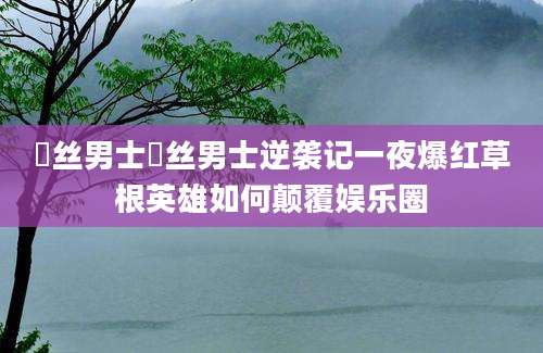 屌丝男士屌丝男士逆袭记一夜爆红草根英雄如何颠覆娱乐圈