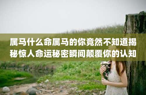 属马什么命属马的你竟然不知道揭秘惊人命运秘密瞬间颠覆你的认知