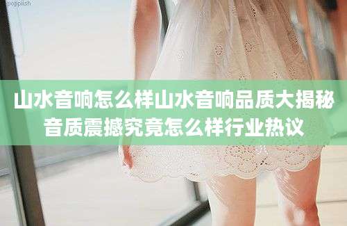 山水音响怎么样山水音响品质大揭秘音质震撼究竟怎么样行业热议