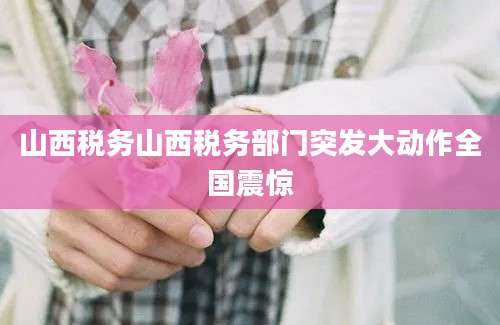 山西税务山西税务部门突发大动作全国震惊