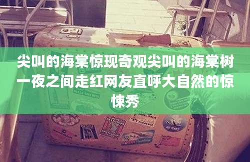 尖叫的海棠惊现奇观尖叫的海棠树一夜之间走红网友直呼大自然的惊悚秀