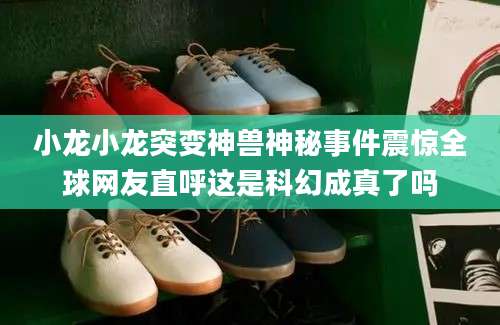 小龙小龙突变神兽神秘事件震惊全球网友直呼这是科幻成真了吗