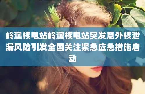 岭澳核电站岭澳核电站突发意外核泄漏风险引发全国关注紧急应急措施启动