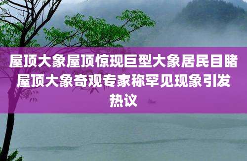 屋顶大象屋顶惊现巨型大象居民目睹屋顶大象奇观专家称罕见现象引发热议
