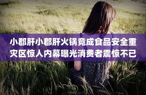 小郡肝小郡肝火锅竟成食品安全重灾区惊人内幕曝光消费者震惊不已