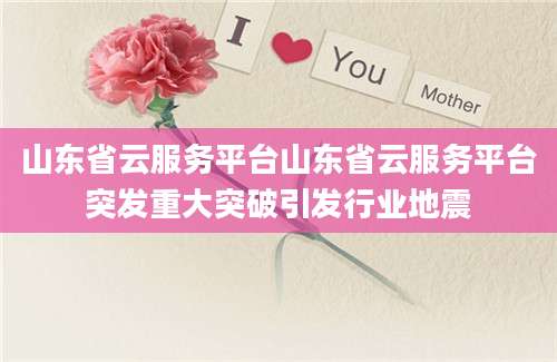 山东省云服务平台山东省云服务平台突发重大突破引发行业地震