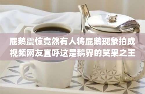 屁鹅震惊竟然有人将屁鹅现象拍成视频网友直呼这是鹅界的笑果之王