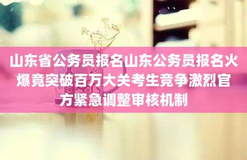 山东省公务员报名山东公务员报名火爆竟突破百万大关考生竞争激烈官方紧急调整审核机制