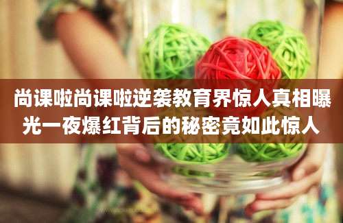 尚课啦尚课啦逆袭教育界惊人真相曝光一夜爆红背后的秘密竟如此惊人