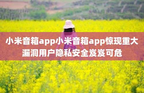 小米音箱app小米音箱app惊现重大漏洞用户隐私安全岌岌可危