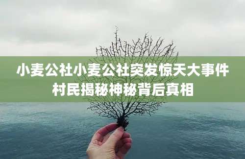 小麦公社小麦公社突发惊天大事件村民揭秘神秘背后真相