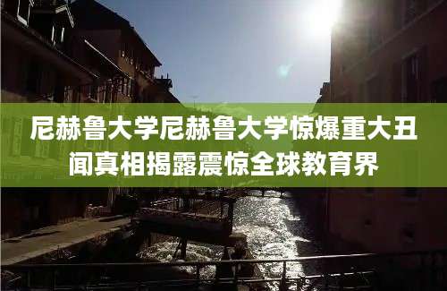 尼赫鲁大学尼赫鲁大学惊爆重大丑闻真相揭露震惊全球教育界