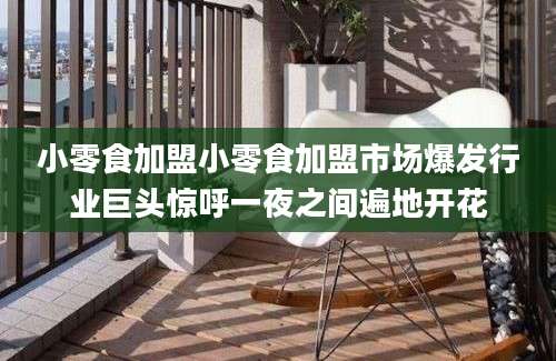 小零食加盟小零食加盟市场爆发行业巨头惊呼一夜之间遍地开花
