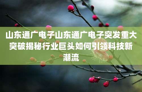 山东通广电子山东通广电子突发重大突破揭秘行业巨头如何引领科技新潮流