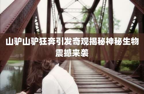 山驴山驴狂奔引发奇观揭秘神秘生物震撼来袭